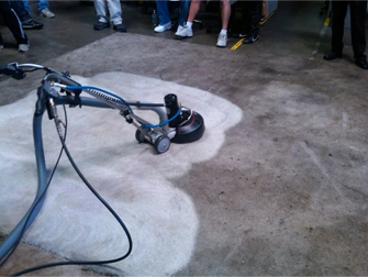 Professional carpet cleaning services
