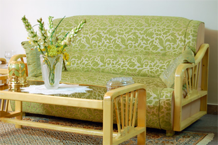 Furniture Cleaning Mississauga