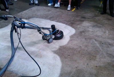 Steam carpet cleaning services stratford