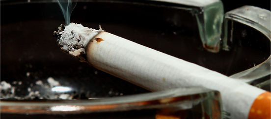 tobacco north carolina Tobacco in North Carolina History, Part II