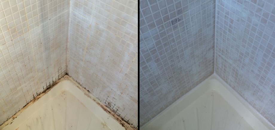 Shower mold restoration in London
