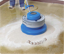 grout cleaning services Oakville
